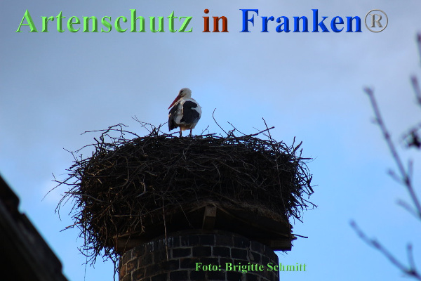 Copyright AiF Brigitte Schmitt Bild zum Eintrag (90131-160)