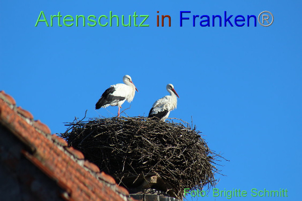 Copyright AiF Brigitte Schmitt Bild zum Eintrag (90616-160)