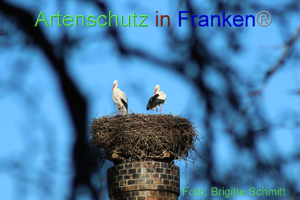 Copyright AiF Brigitte Schmitt Bild zum Eintrag (90617-160)