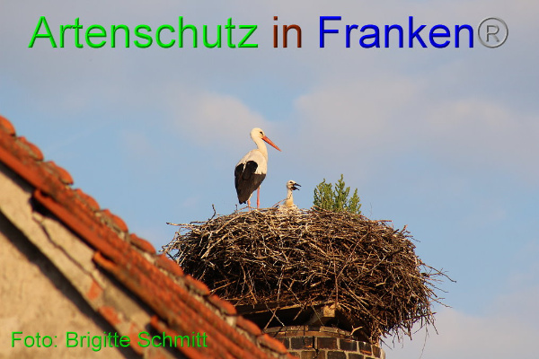 Copyright AiF Brigitte Schmitt Bild zum Eintrag (94187-160)