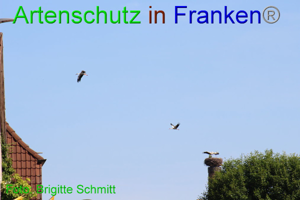 Copyright AiF Brigitte Schmitt Bild zum Eintrag (94190-160)