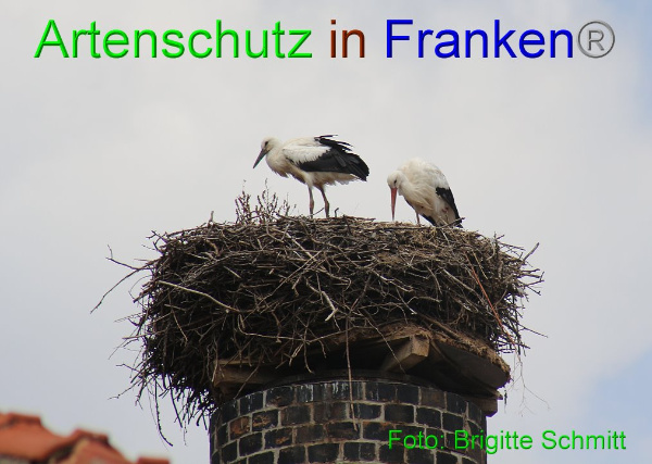 Copyright AiF Brigitte Schmitt Bild zum Eintrag (94192-160)