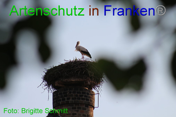 Copyright AiF Brigitte Schmitt Bild zum Eintrag (94193-160)