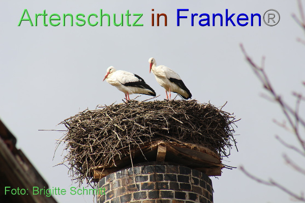 Copyright AiF Brigitte Schmitt Bild zum Eintrag (99042-160)