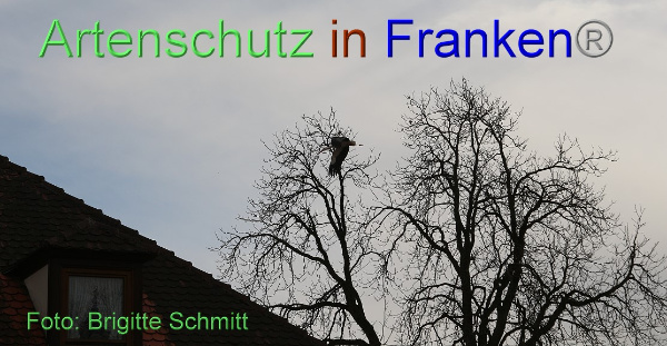 Copyright AiF Brigitte Schmitt Bild zum Eintrag (99045-160)