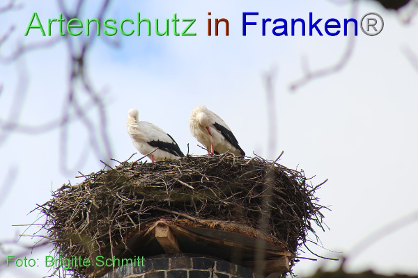 Copyright AiF Brigitte Schmitt Bild zum Eintrag (99048-160)