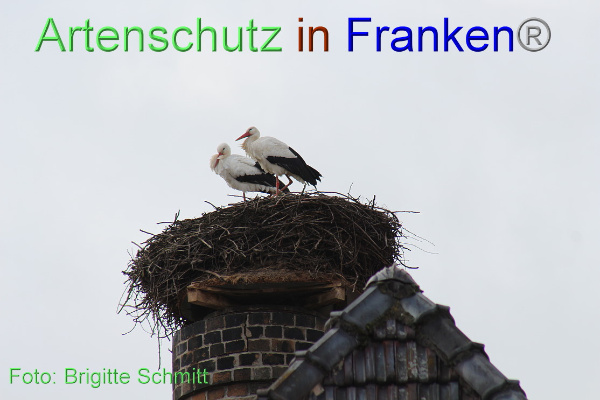 Copyright AiF Brigitte Schmitt Bild zum Eintrag (99049-160)