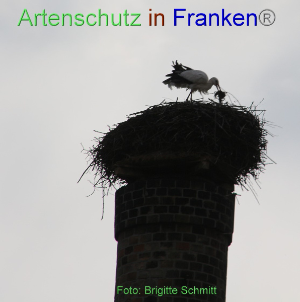 Copyright AiF Brigitte Schmitt Bild zum Eintrag (99050-160)