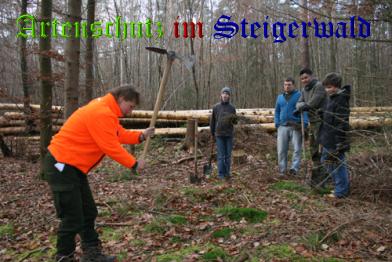 Copyright AiS / Aufseesianum Bild zum Eintrag (24804-160)