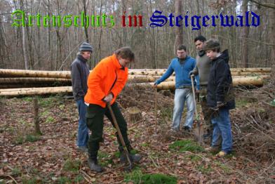Copyright AiS / Aufseesianum Bild zum Eintrag (24805-160)