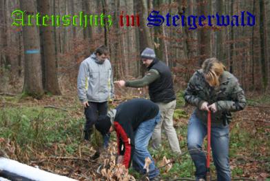 Copyright AiS / Aufseesianum Bild zum Eintrag (24808-160)