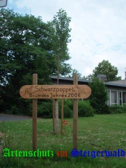 Copyright AiS / Klaus Weidner Bild zum Eintrag (25662-160)