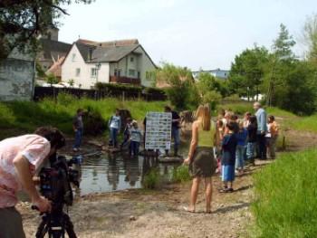 Copyright AiS / Seelmann Bild zum Eintrag (29687-160)