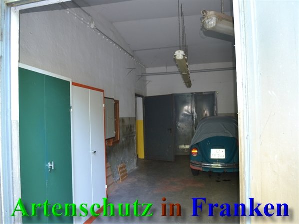 Copyright AiS-Raab Bild zum Eintrag (40643-160)