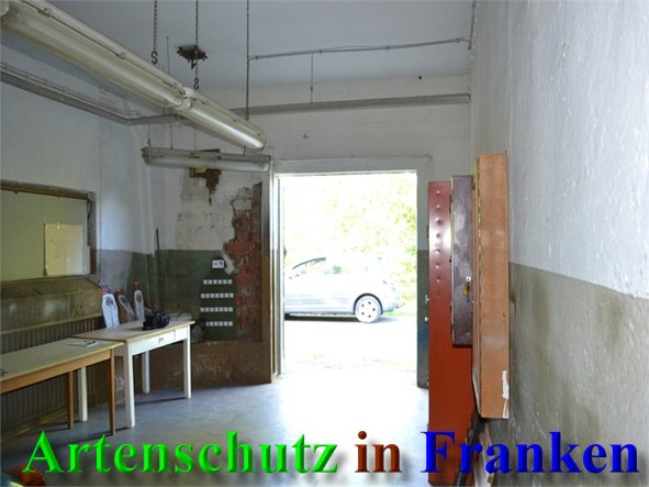 Copyright AiS-Raab Bild zum Eintrag (40644-160)