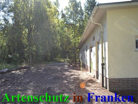 Copyright AiS-Raab Bild zum Eintrag (40648-160)