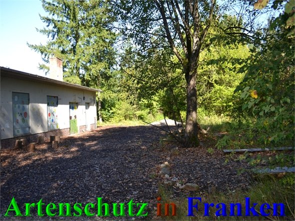 Copyright AiS-Raab Bild zum Eintrag (40650-160)