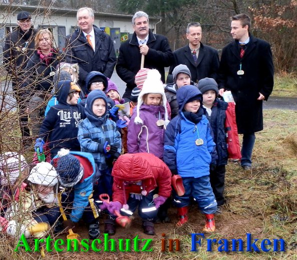 Copyright AiS- Albert Meier Bild zum Eintrag (43021-160)