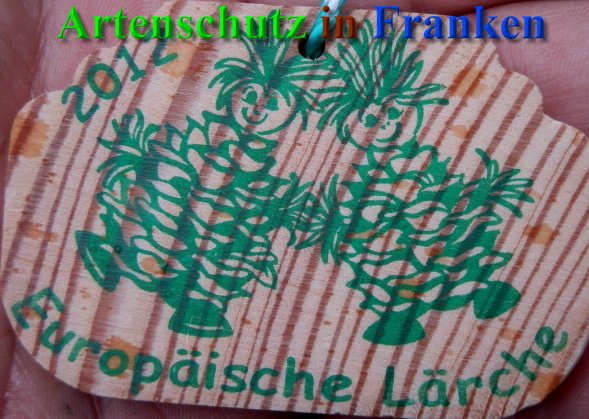 Copyright AiS- Albert Meier Bild zum Eintrag (43040-160)