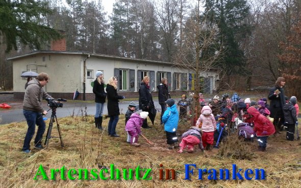 Copyright AiS Johannes Michel - Nachrichten vor Ort Bild zum Eintrag (43041-160)