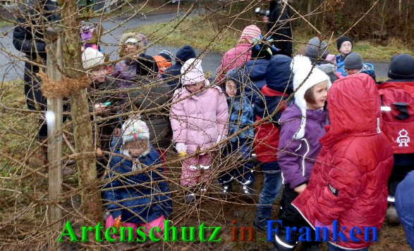 Copyright AiS- Albert Meier Bild zum Eintrag (43042-160)