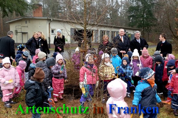 Copyright AiS- Albert Meier Bild zum Eintrag (43043-160)