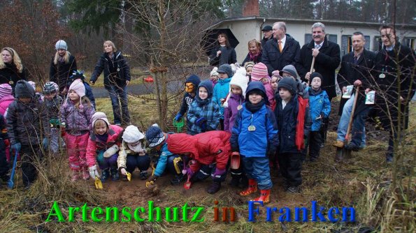 Copyright AiS Johannes Michel - Nachrichten vor Ort Bild zum Eintrag (43048-160)