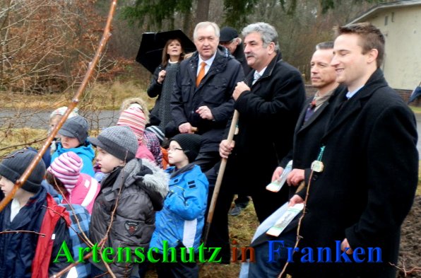 Copyright AiS- Albert Meier Bild zum Eintrag (43049-160)
