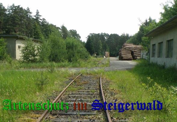 Copyright AiS- Albert Meier Bild zum Eintrag (43104-160)
