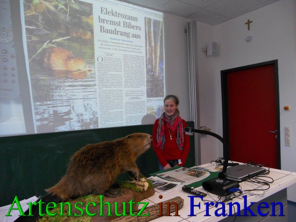 Copyright AiS - Markfelder Bild zum Eintrag (44235-160)