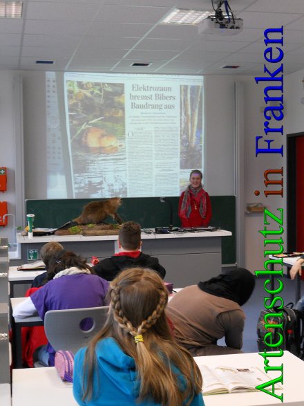 Copyright AiS - Markfelder Bild zum Eintrag (44236-160)