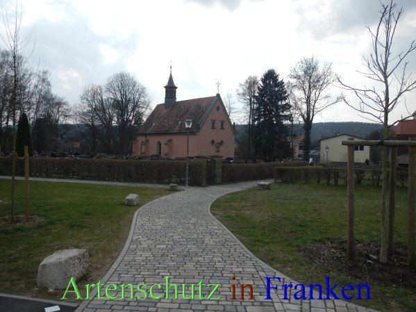 Bild zum Eintrag (45209-160)