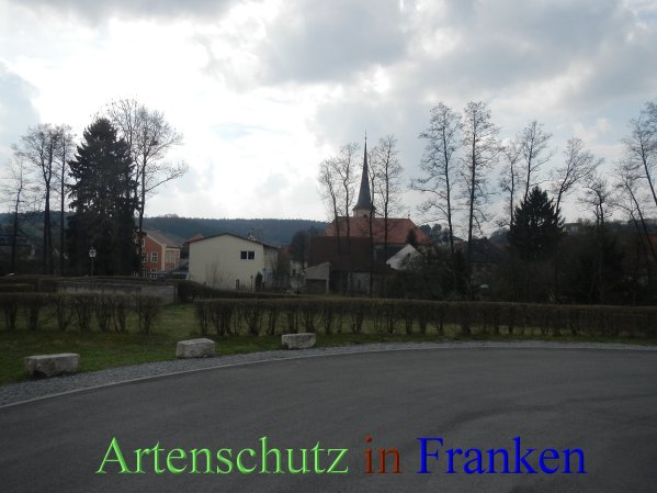 Bild zum Eintrag (45210-160)