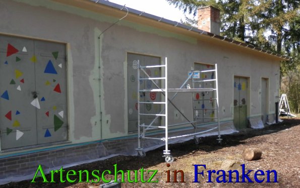 Copyright AiS- Albert Meier Bild zum Eintrag (45453-160)