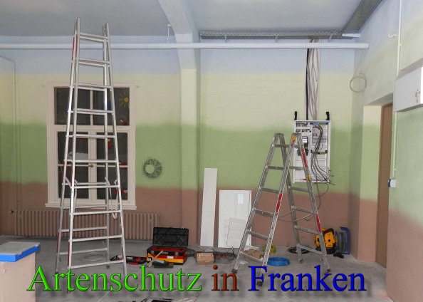 Copyright AiS- Albert Meier Bild zum Eintrag (45456-160)