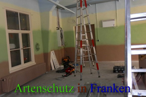 Copyright AiS- Albert Meier Bild zum Eintrag (45457-160)