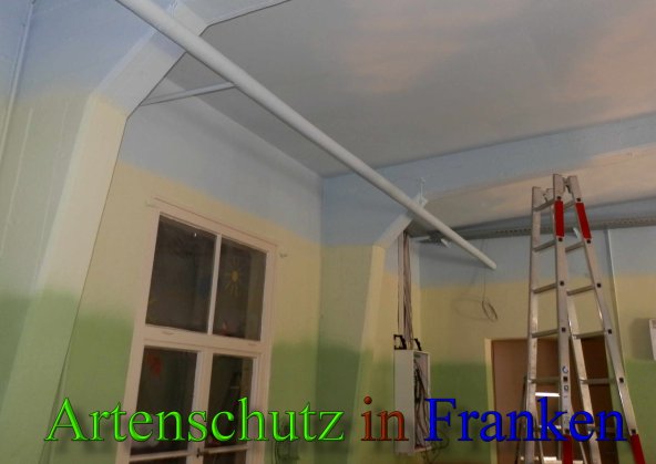 Copyright AiS- Albert Meier Bild zum Eintrag (45458-160)