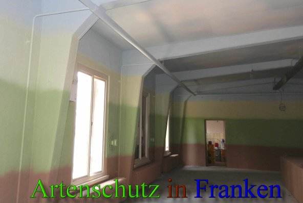 Copyright AiS- Albert Meier Bild zum Eintrag (45459-160)
