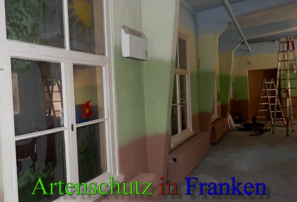 Copyright AiS- Albert Meier Bild zum Eintrag (45461-160)