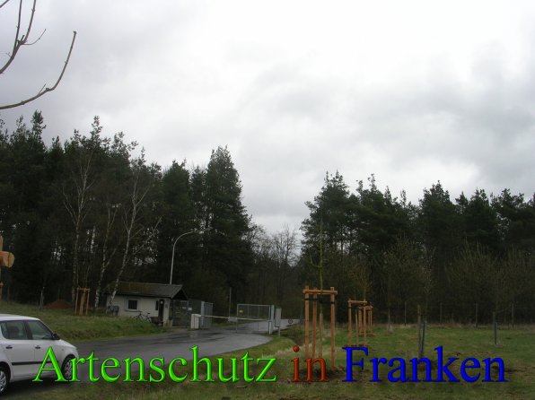 Copyright AiS - Ding Bild zum Eintrag (45473-160)