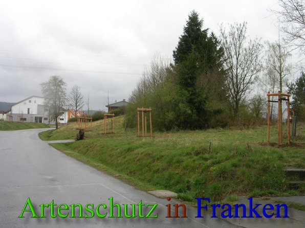 Bild zum Eintrag (45475-160)