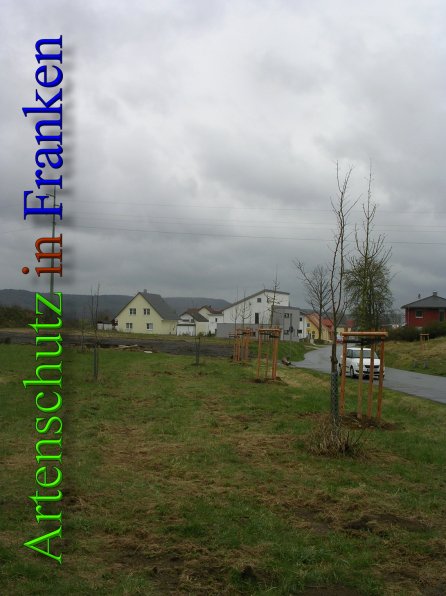 Bild zum Eintrag (45476-160)