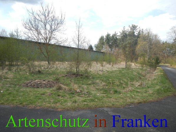 Copyright AiS - Herrmann Bild zum Eintrag (45503-160)