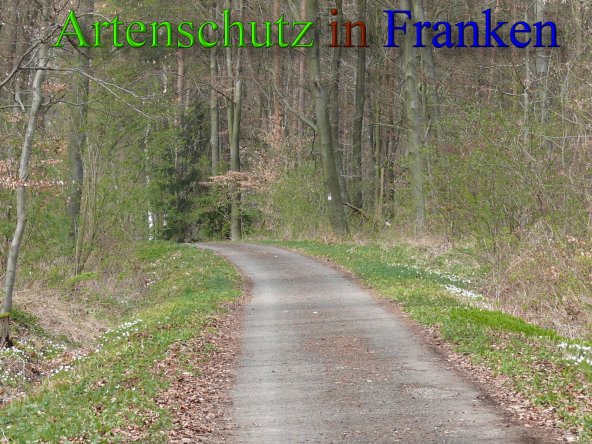 Bild zum Eintrag (45697-160)