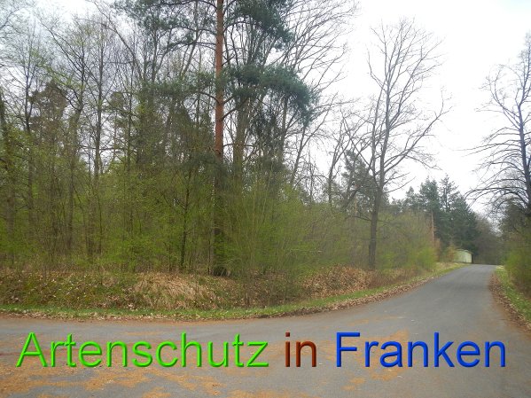 Copyright AiS Brückner Bild zum Eintrag (45741-160)