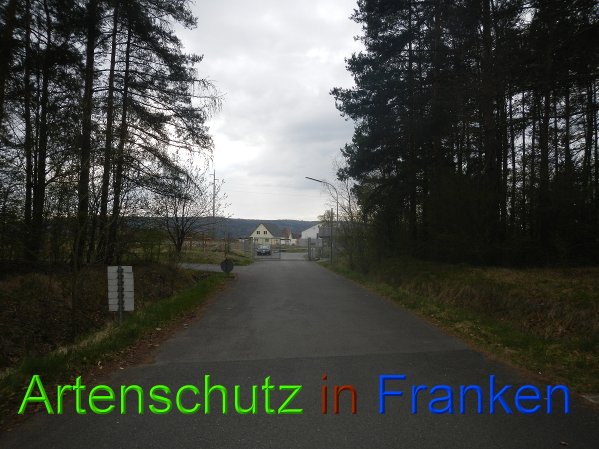 Bild zum Eintrag (45743-160)