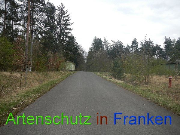 Bild zum Eintrag (45746-160)