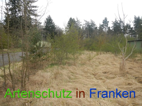Bild zum Eintrag (45747-160)