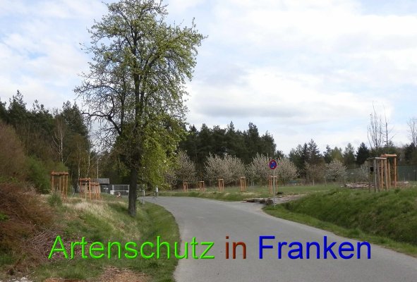 Copyright AiS- Albert Meier Bild zum Eintrag (45861-160)