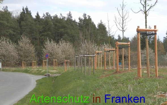 Copyright AiS- Albert Meier Bild zum Eintrag (45862-160)
